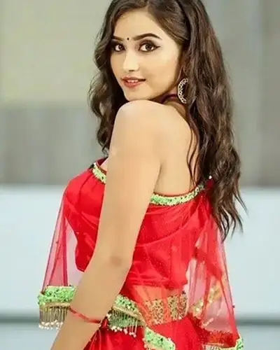 Call Girl Service in Aravalli